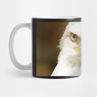 Bald Eagle Mug